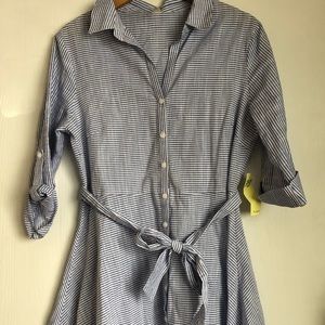 Pinstriped Button up Dress